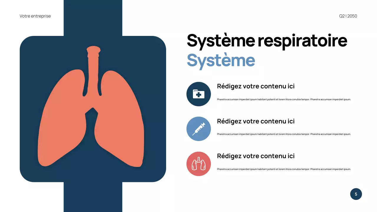 Présentation de l'anatomie moderne bleue