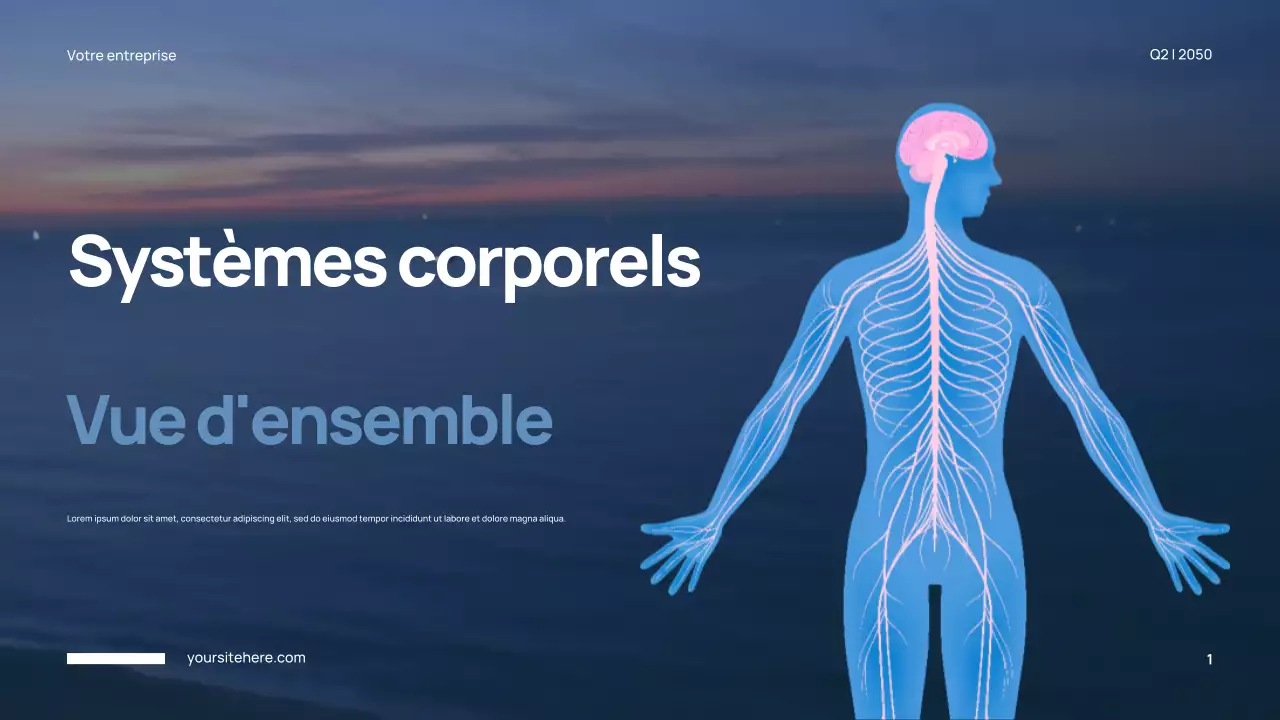 Présentation de l'anatomie moderne bleue