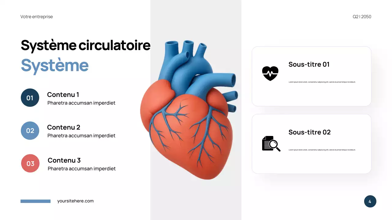 Présentation de l'anatomie moderne bleue
