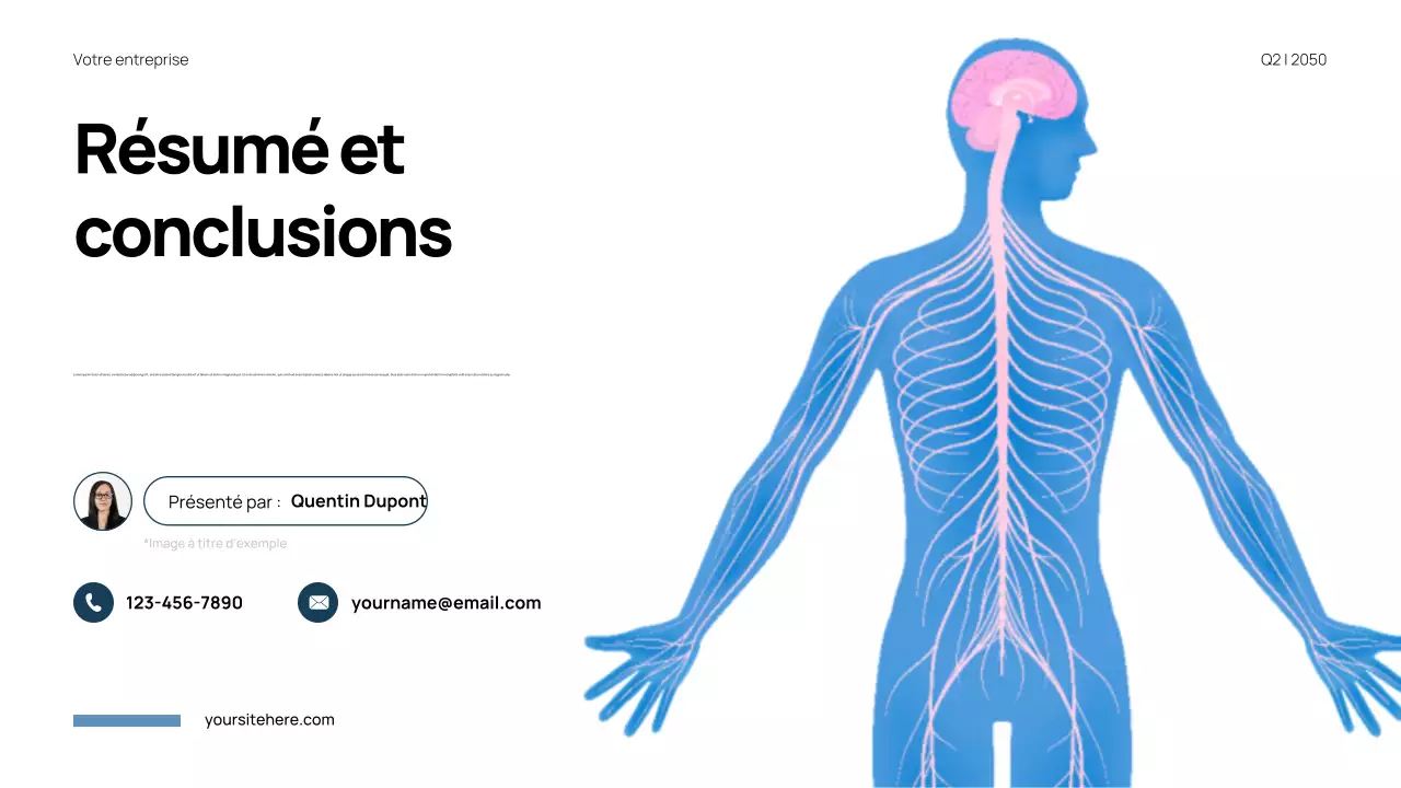 Présentation de l'anatomie moderne bleue
