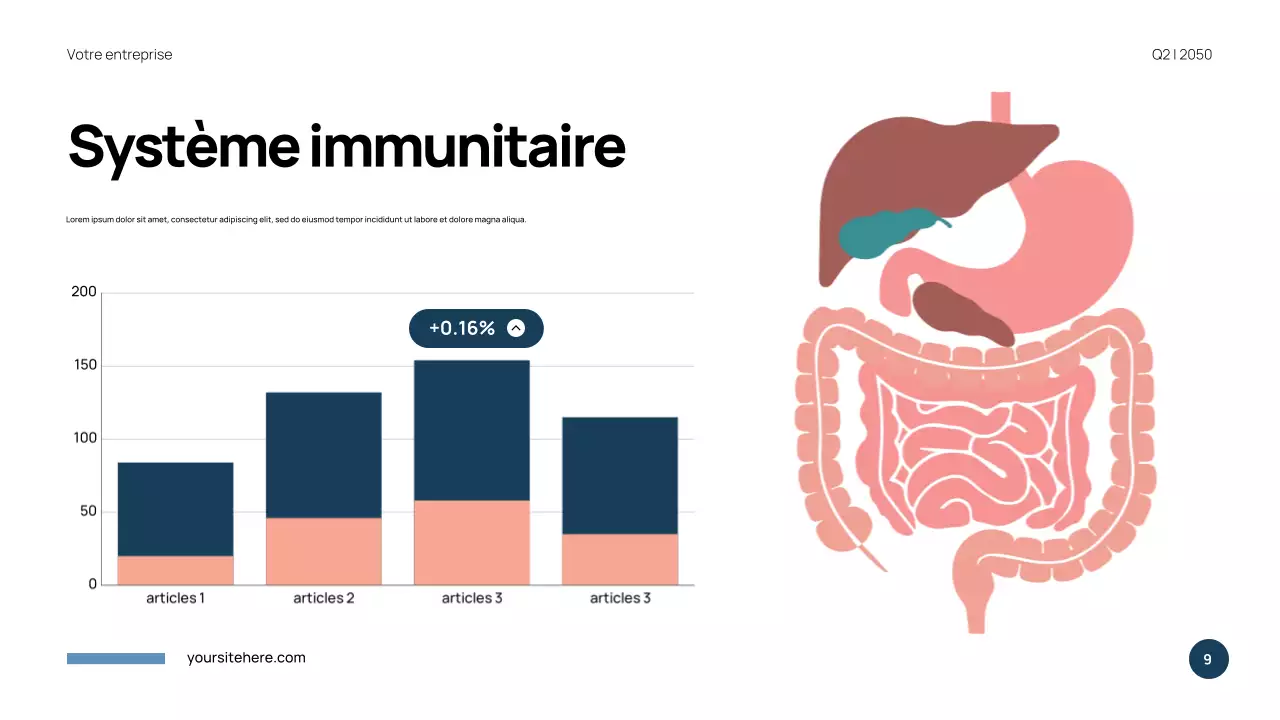 Présentation de l'anatomie moderne bleue