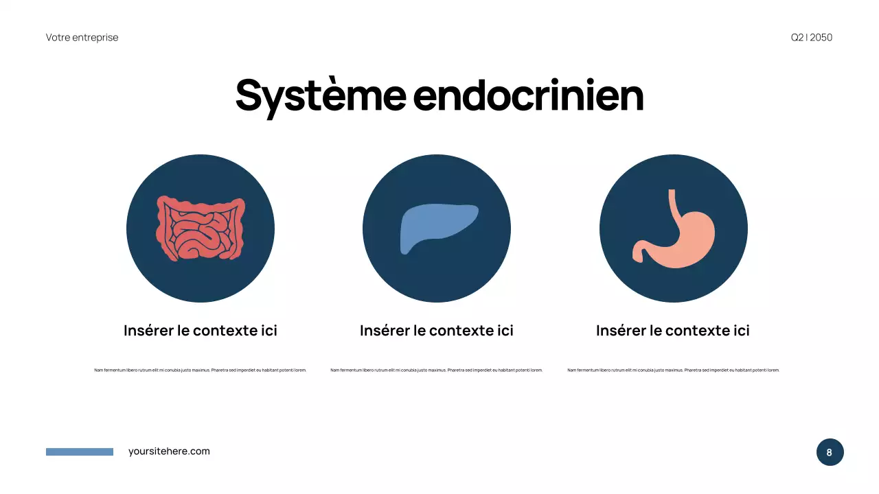 Présentation de l'anatomie moderne bleue