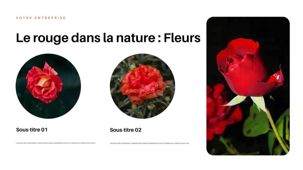 Présentation de la nature esthétique rouge