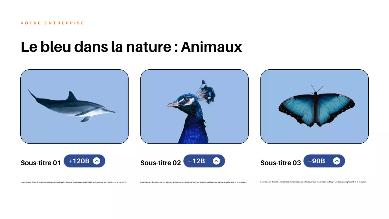 Présentation de la nature esthétique rouge