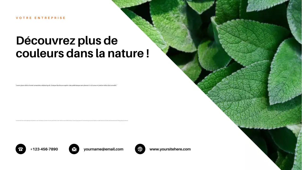 Présentation de la nature esthétique rouge