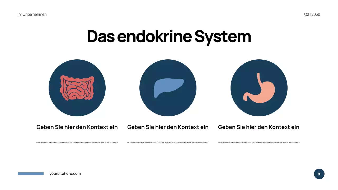 Blaue Moderne Anatomie Präsentation