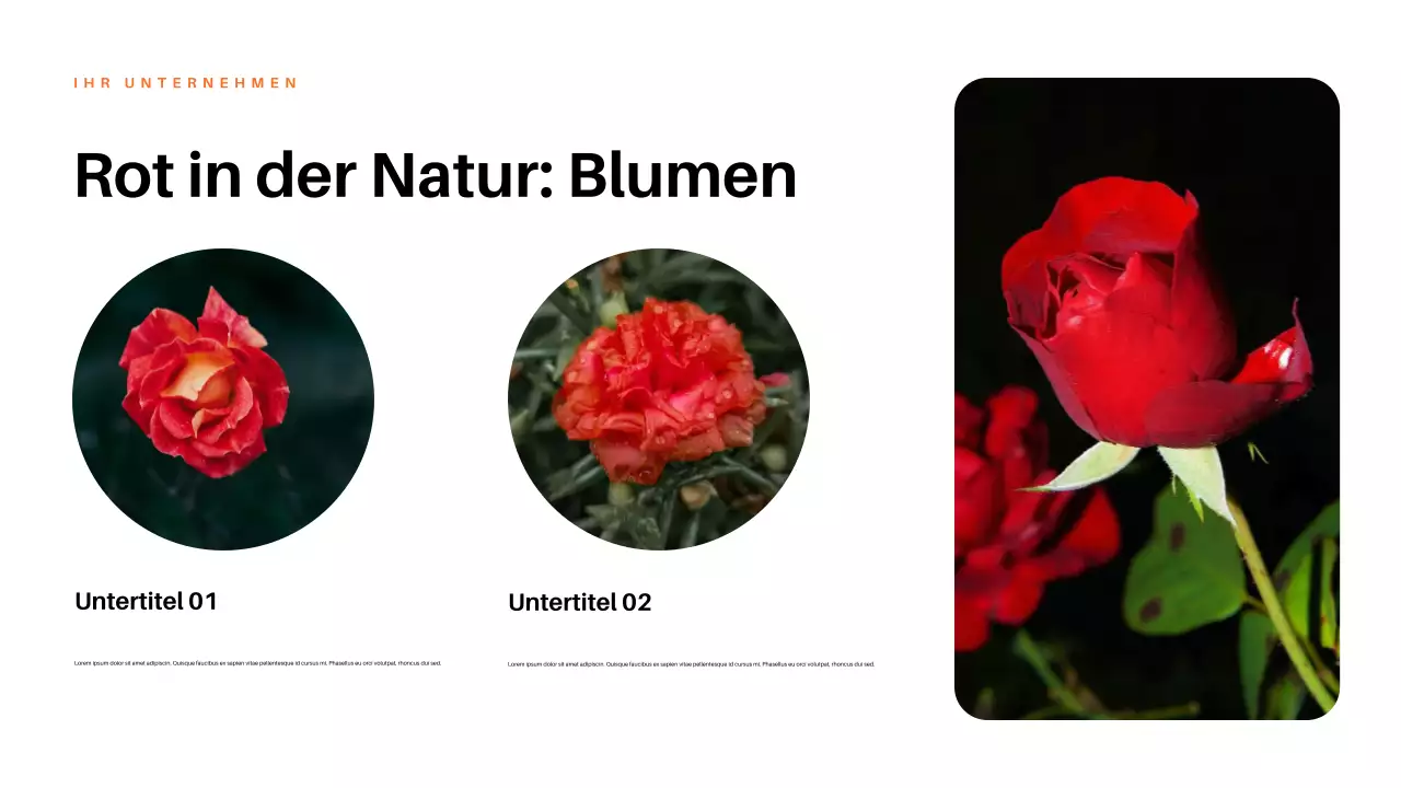 Rote ästhetische Natur Präsentation