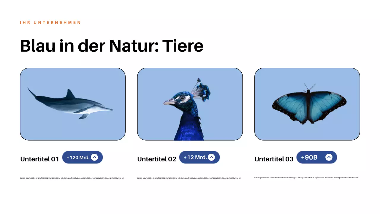 Rote ästhetische Natur Präsentation