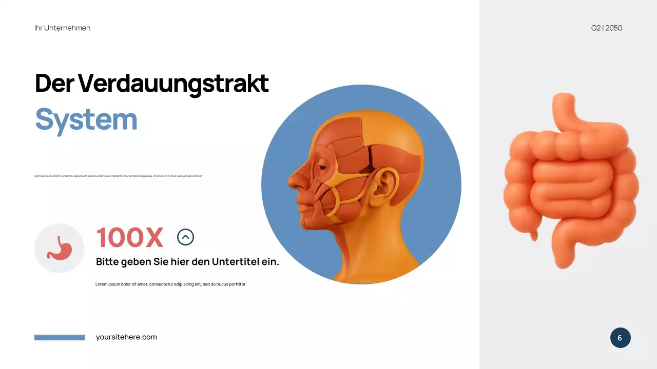 Blaue Moderne Anatomie Präsentation