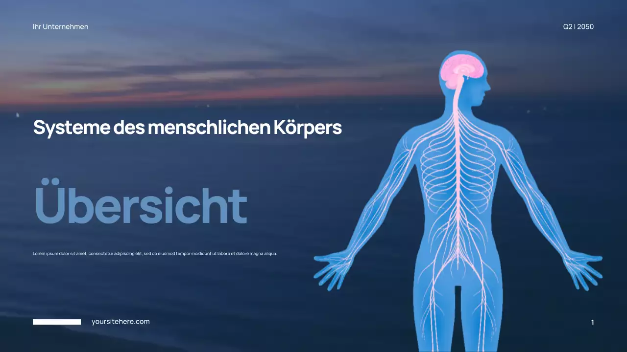 Blaue Moderne Anatomie Präsentation