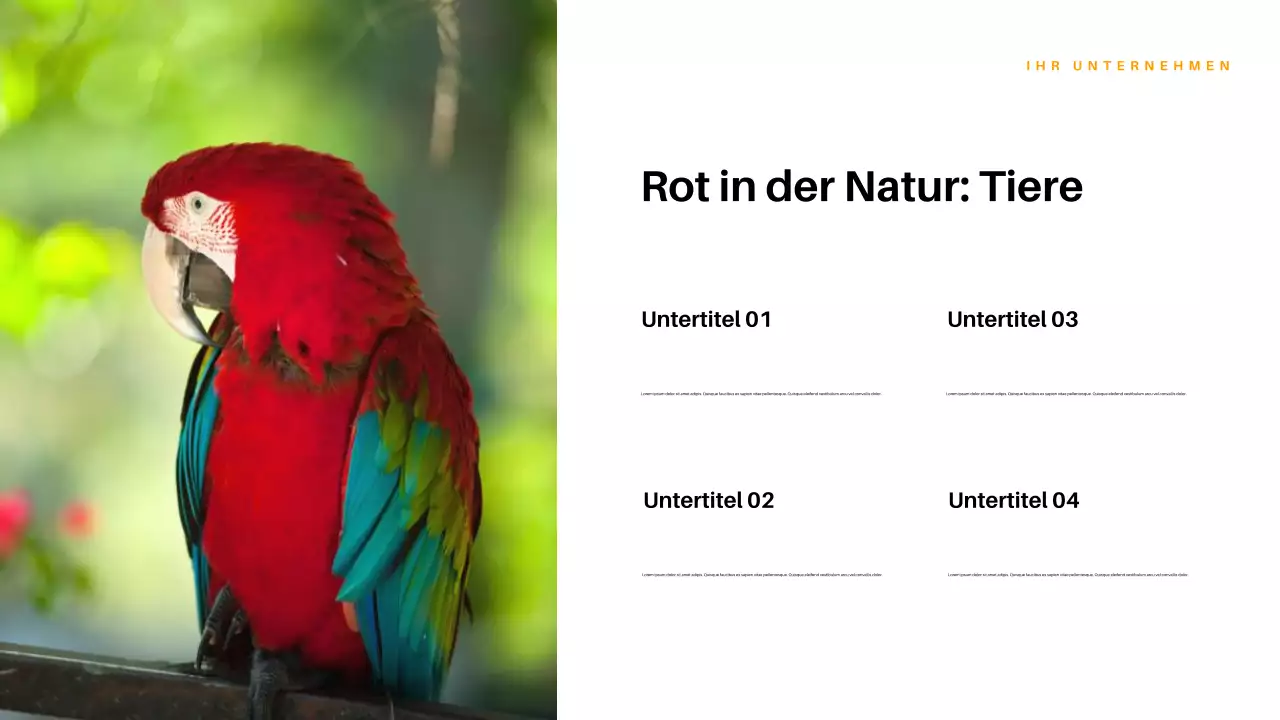 Rote ästhetische Natur Präsentation