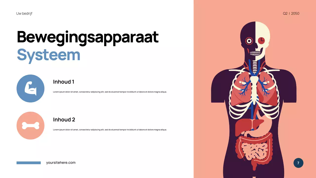 Blauwe moderne anatomie presentatie