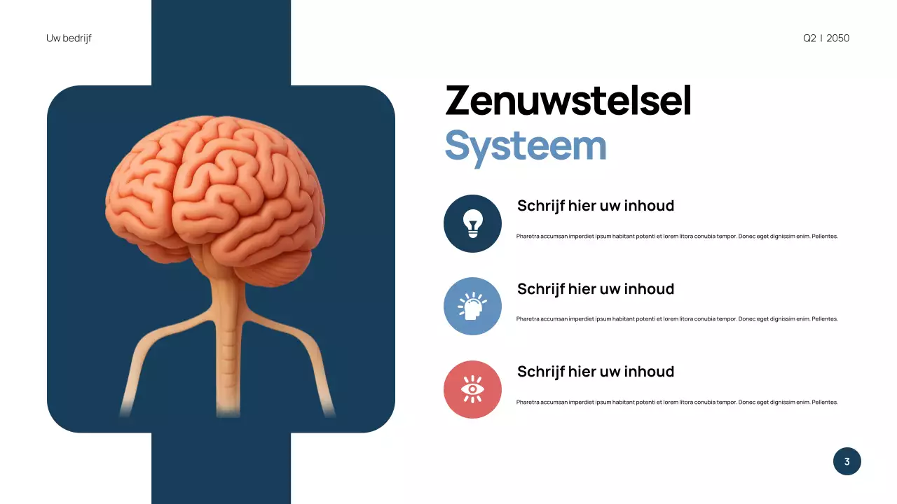 Blauwe moderne anatomie presentatie