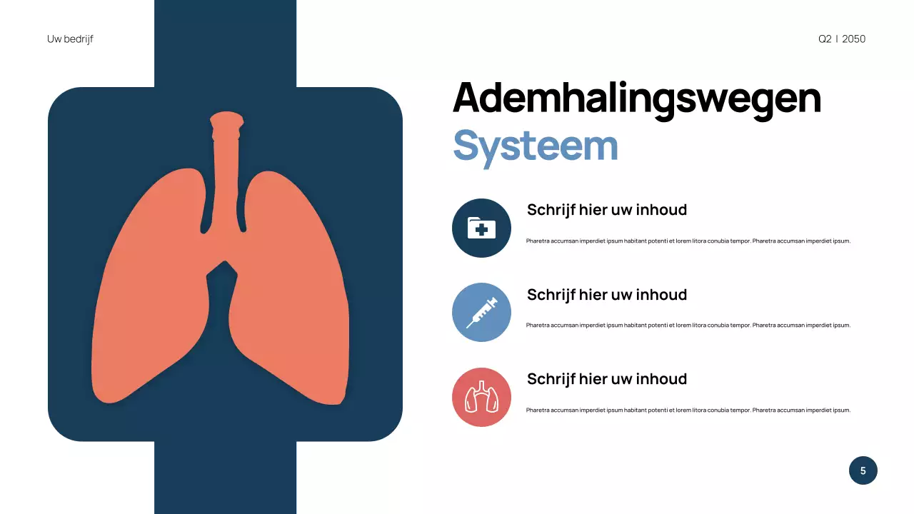 Blauwe moderne anatomie presentatie