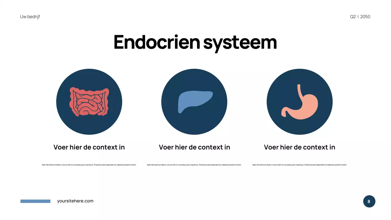 Blauwe moderne anatomie presentatie
