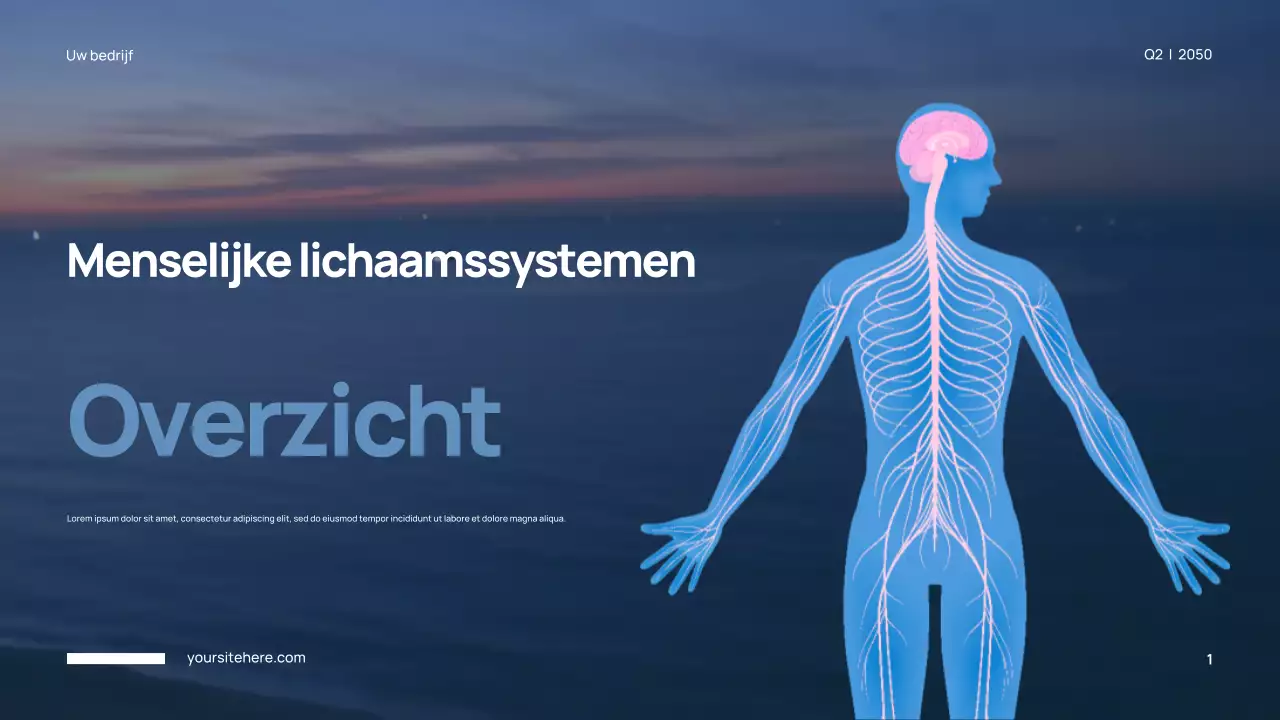 Blauwe moderne anatomie presentatie