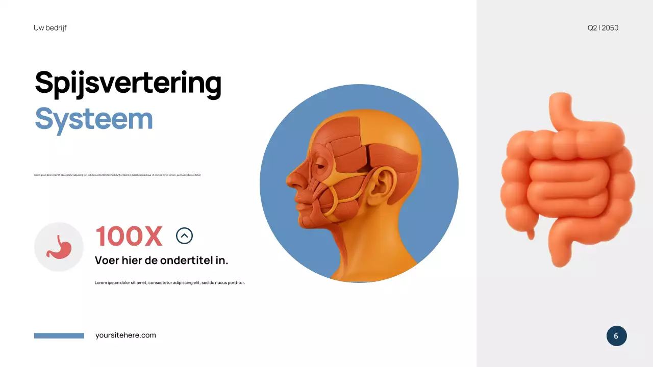 Blauwe moderne anatomie presentatie