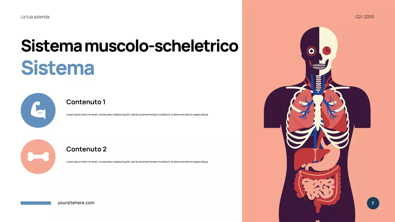 Presentazione di Anatomia Moderna Blu
