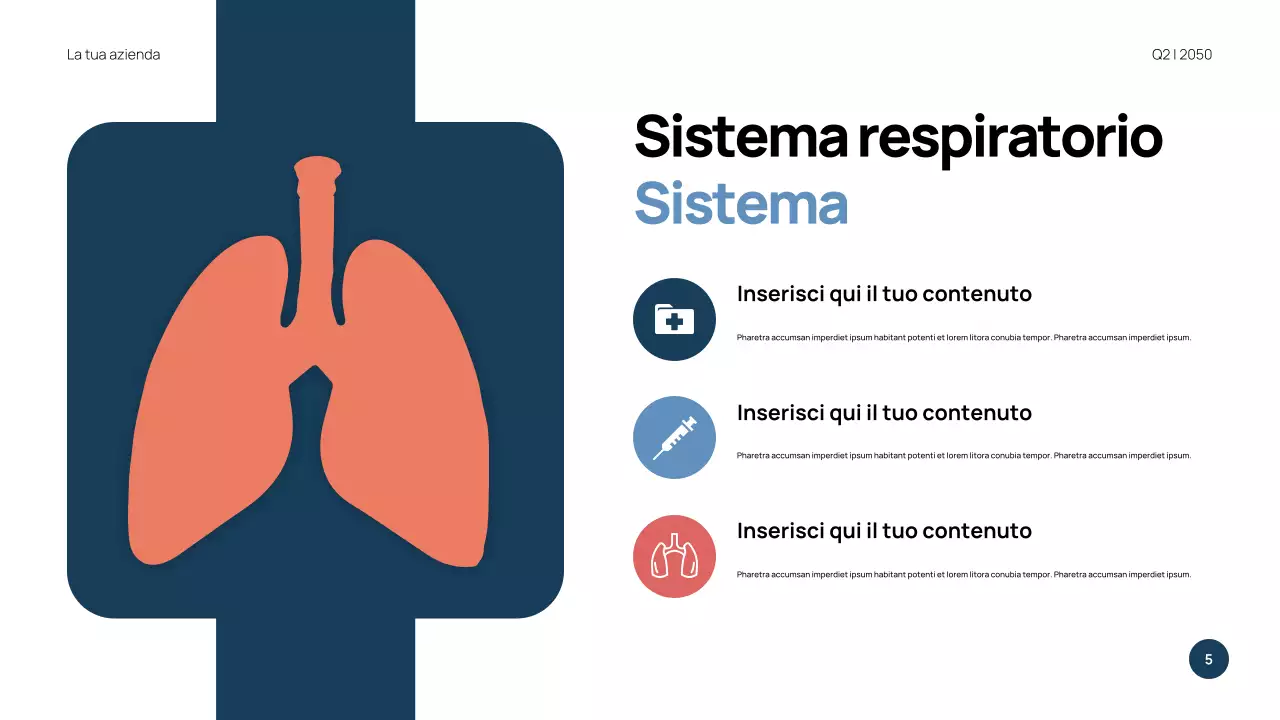 Presentazione di Anatomia Moderna Blu