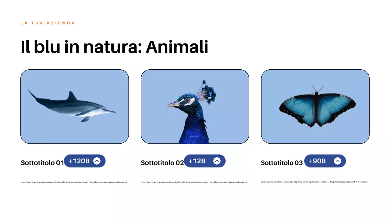 Presentazione della natura estetica rossa