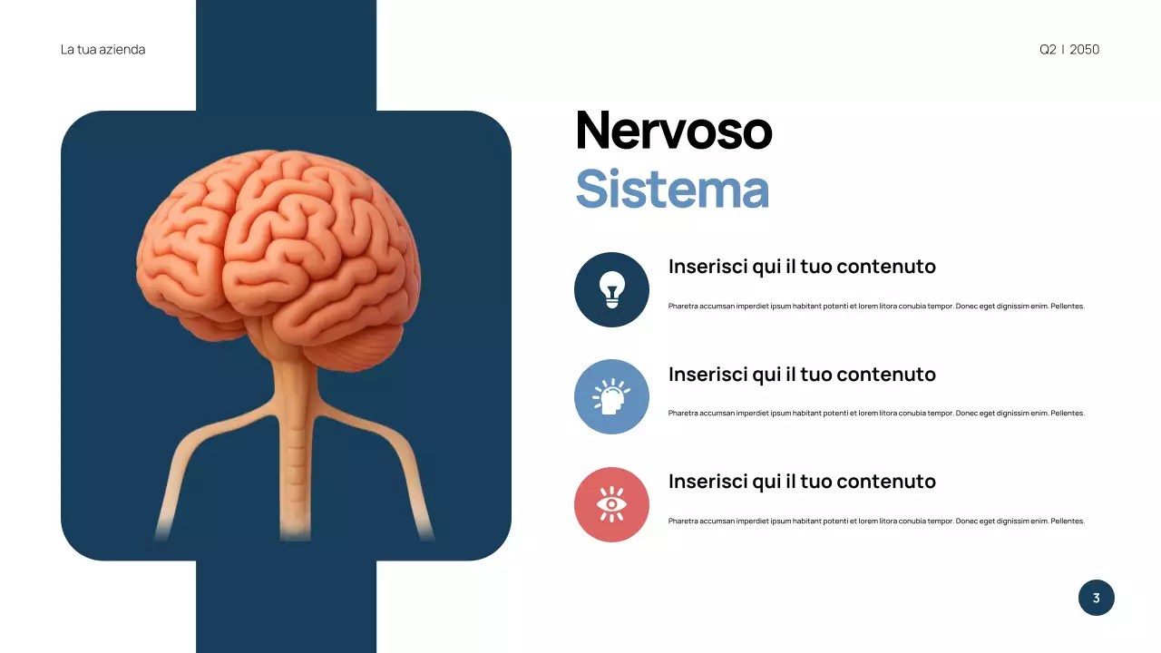 Presentazione di Anatomia Moderna Blu