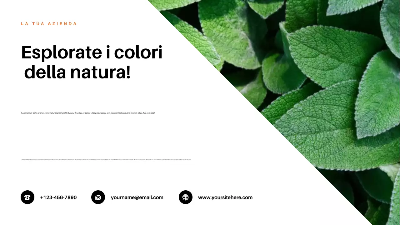 Presentazione della natura estetica rossa
