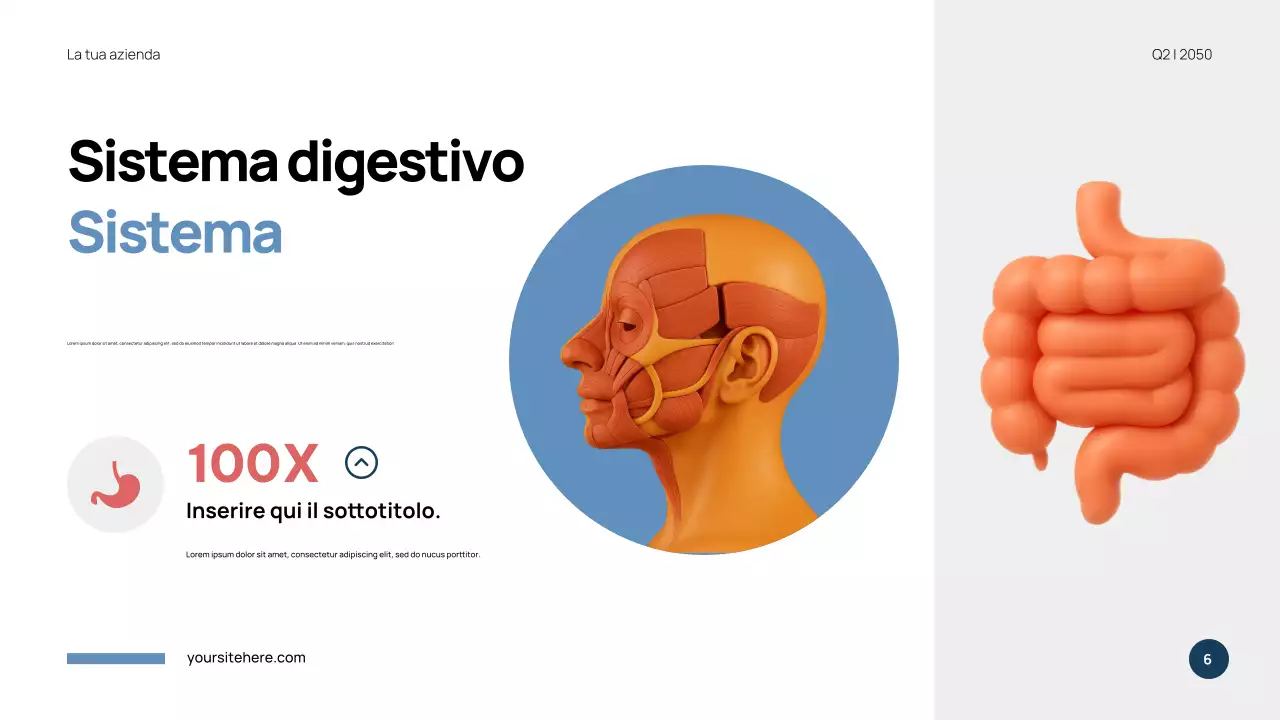 Presentazione di Anatomia Moderna Blu