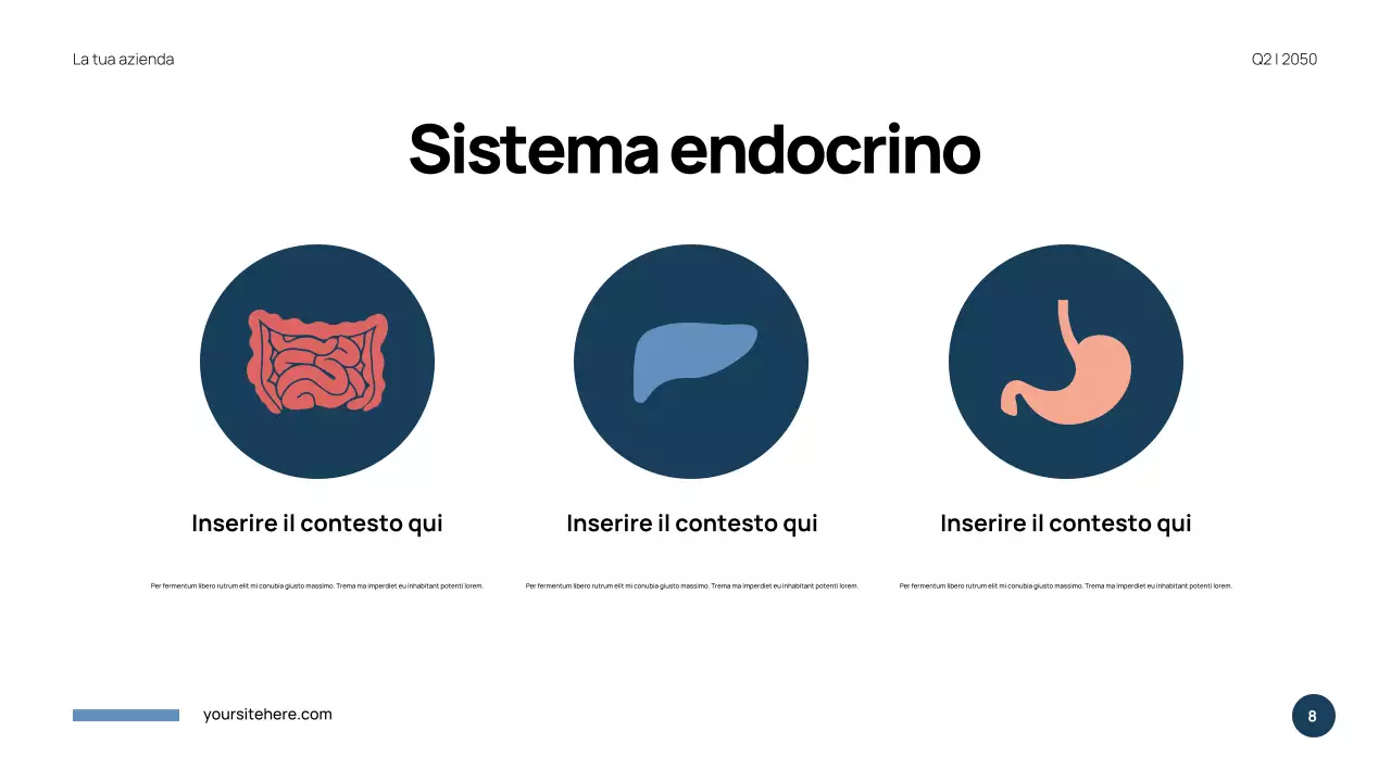 Presentazione di Anatomia Moderna Blu