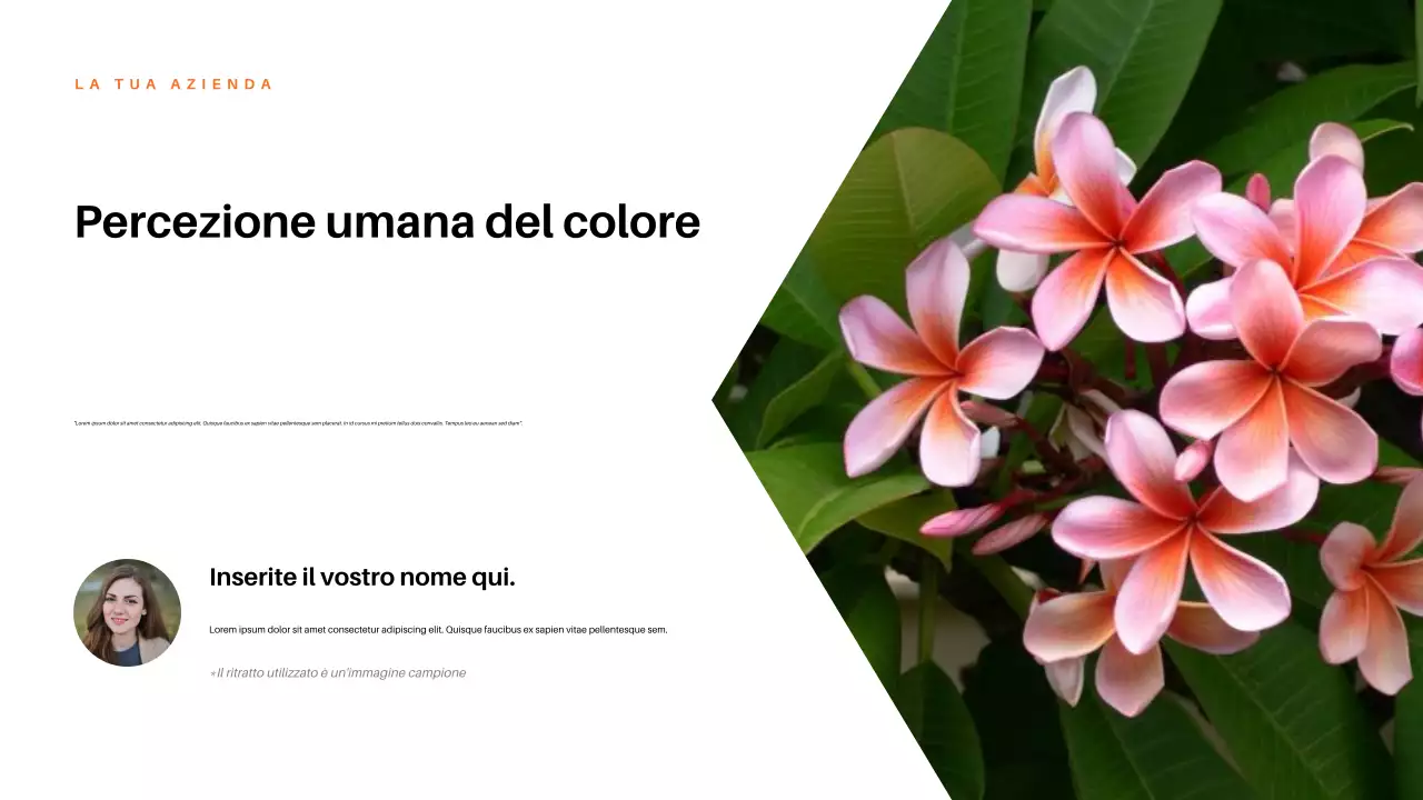 Presentazione della natura estetica rossa