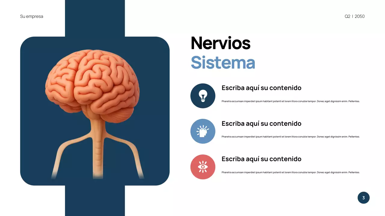 Presentación de anatomía moderna azul