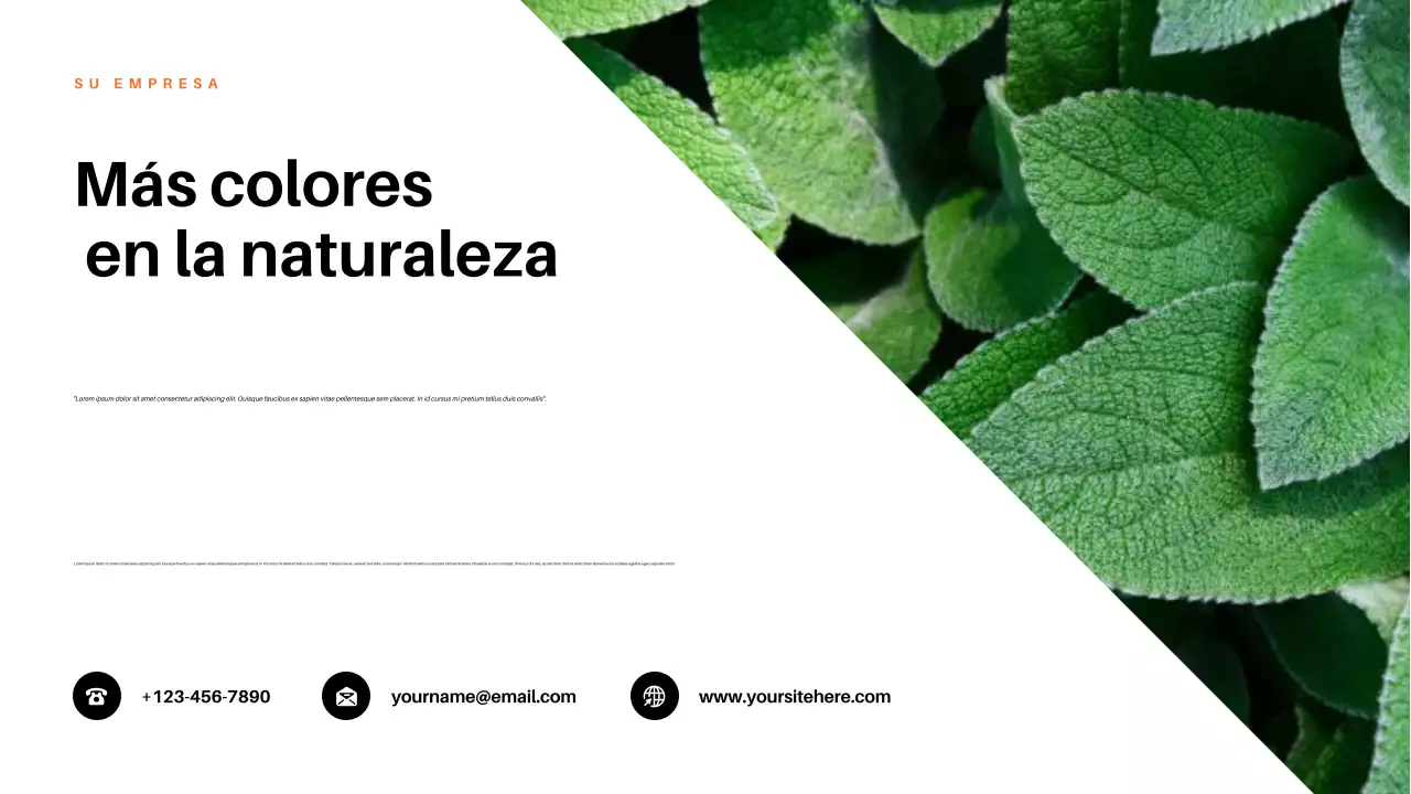 Presentación de la naturaleza estética roja