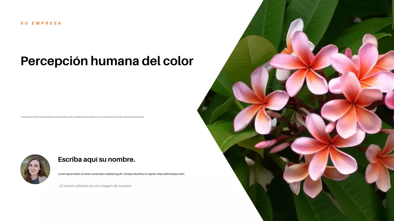 Presentación de la naturaleza estética roja