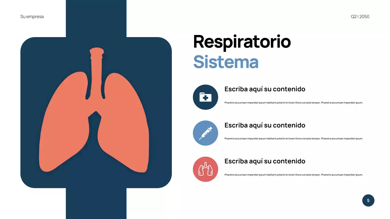 Presentación de anatomía moderna azul
