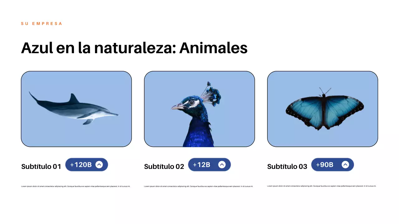 Presentación de la naturaleza estética roja