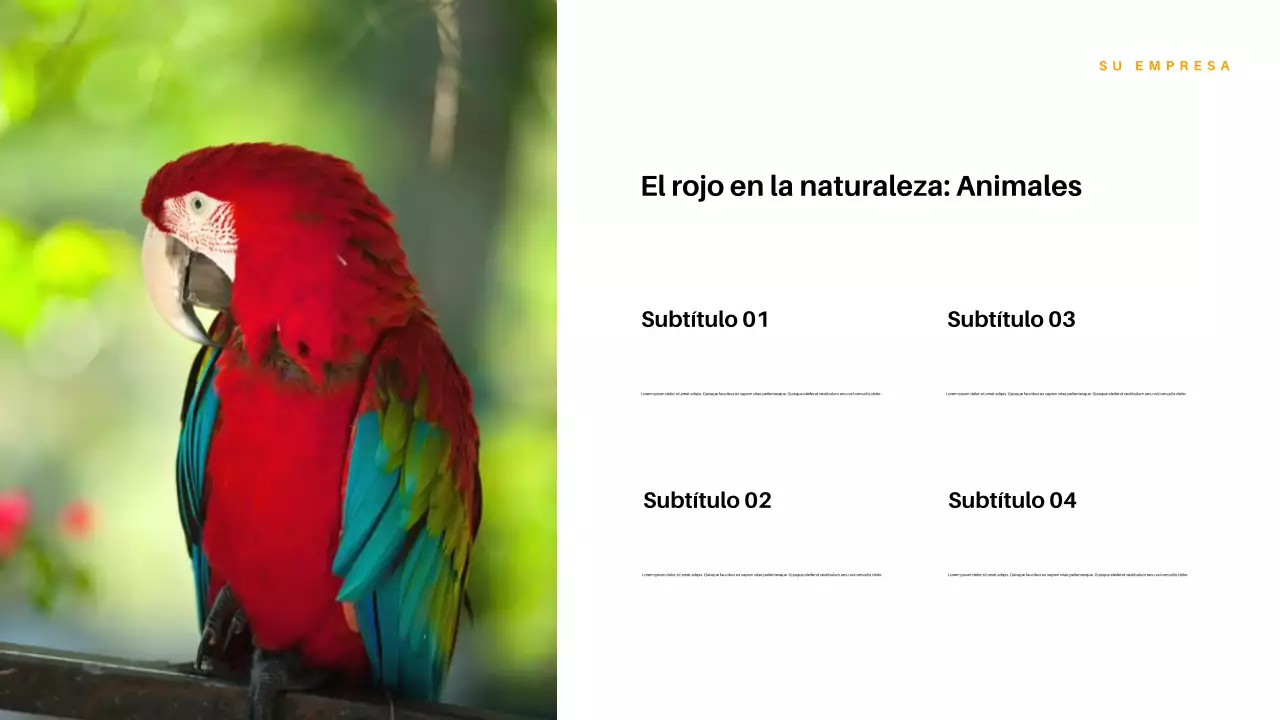 Presentación de la naturaleza estética roja