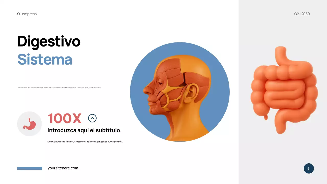 Presentación de anatomía moderna azul