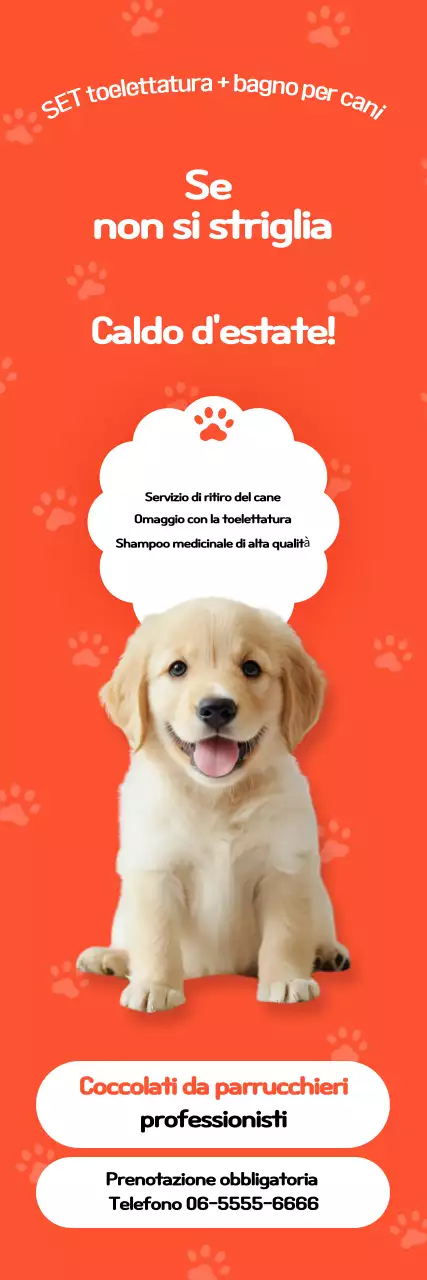 Pubblicità di Orange Clean Pet