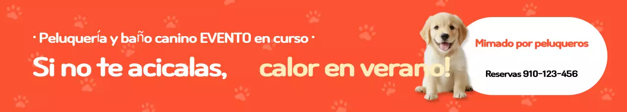 Evento de mascotas bebé naranja