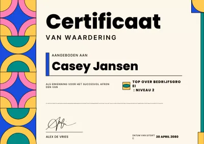 Beige geometrische bedrijfscertificaatposter