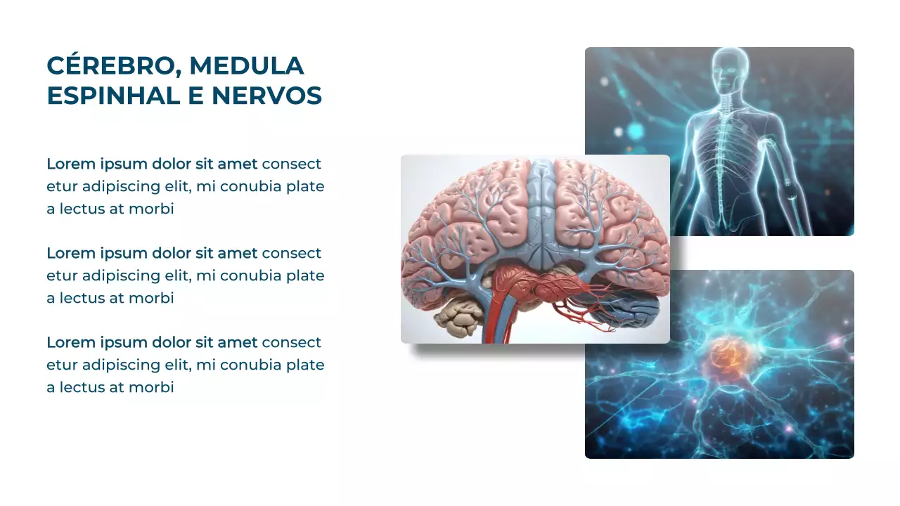Apresentação do Guia de Saúde Moderna Azul