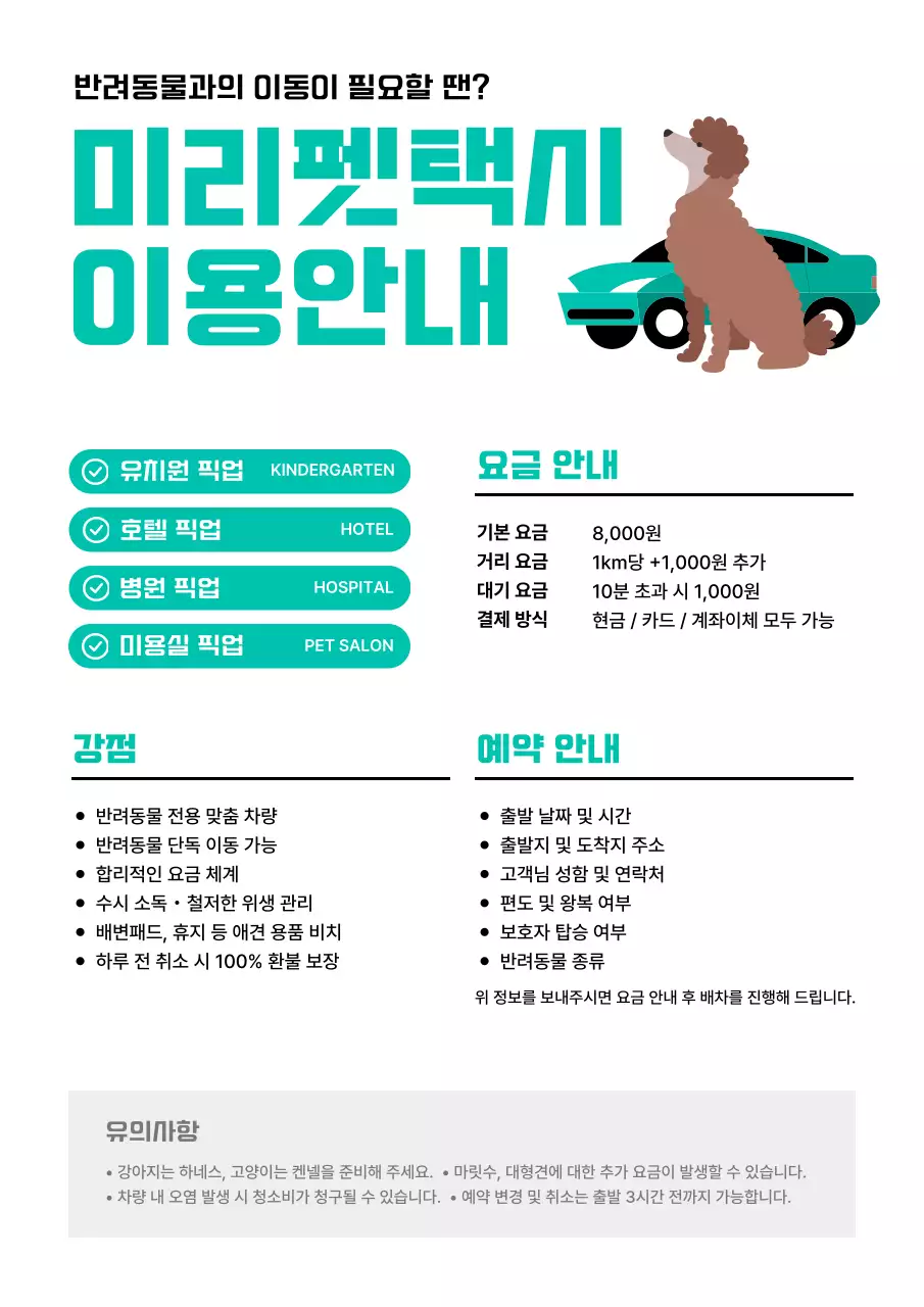 민트 깔끔 반려동물 안내