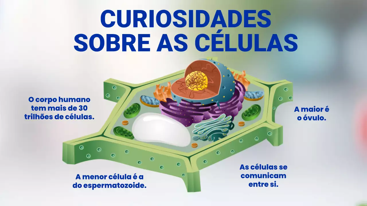 Apresentação da Palestra sobre Biologia Moderna Laranja