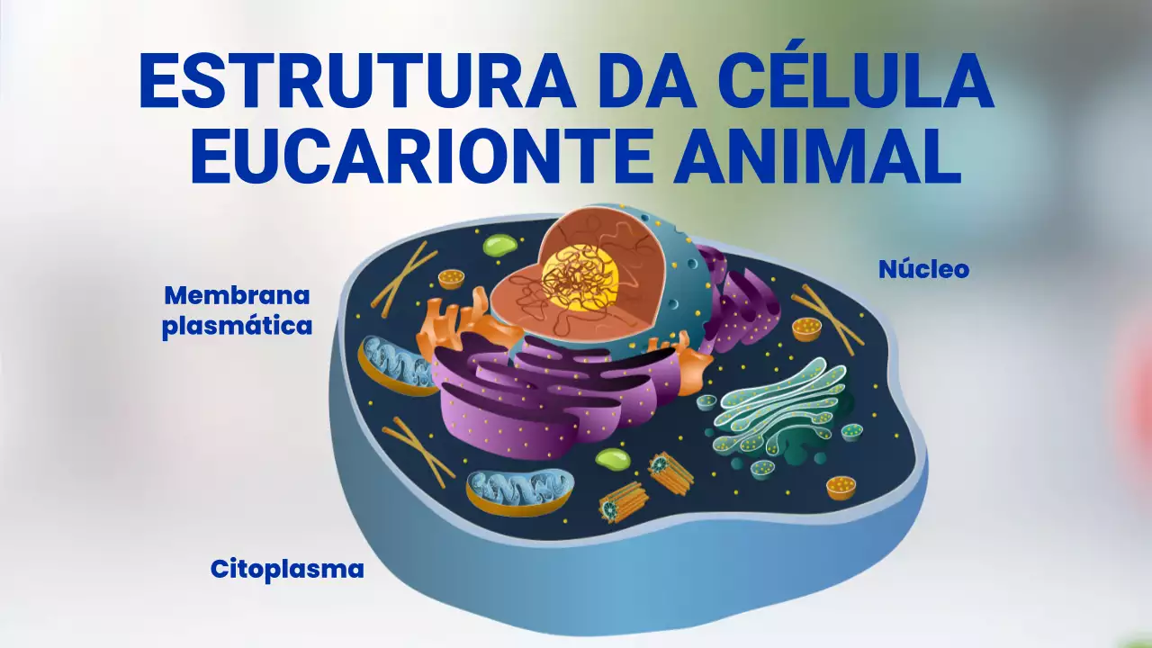 Apresentação da Palestra sobre Biologia Moderna Laranja