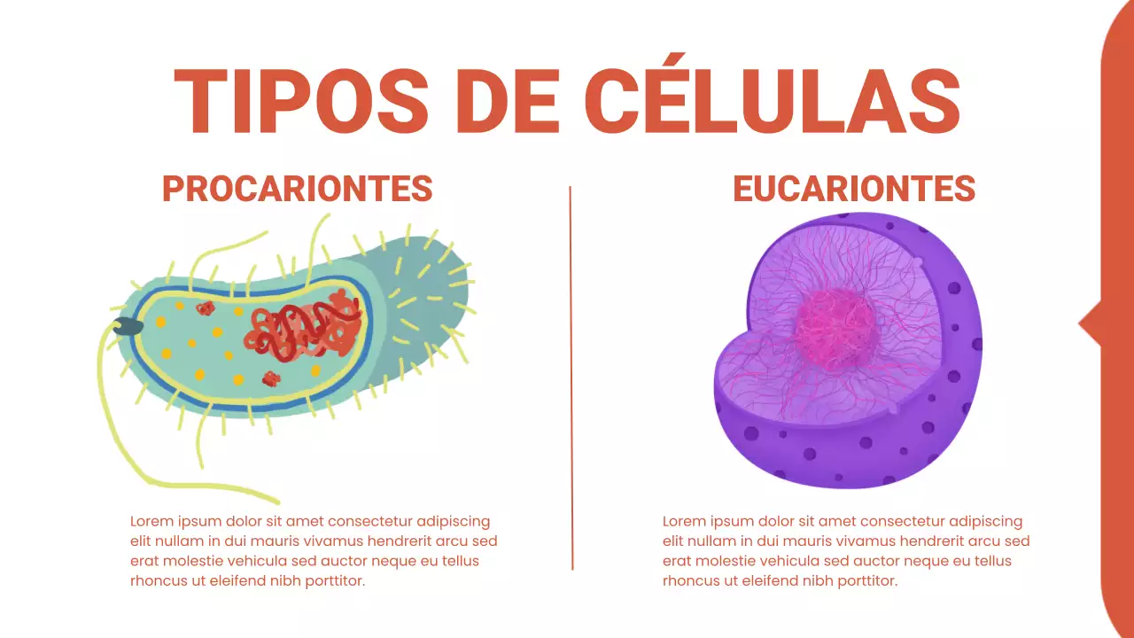 Apresentação da Palestra sobre Biologia Moderna Laranja