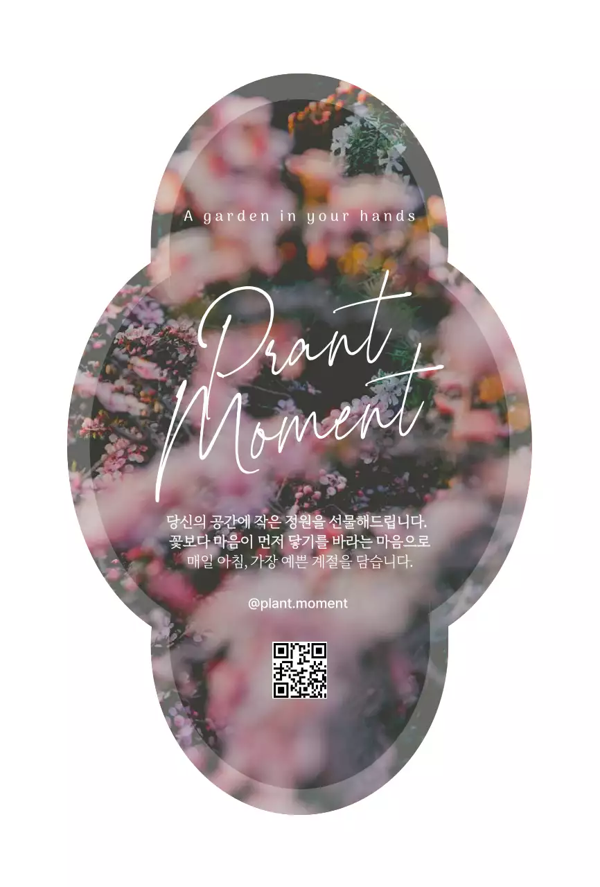 연보라 자연 식물 홍보