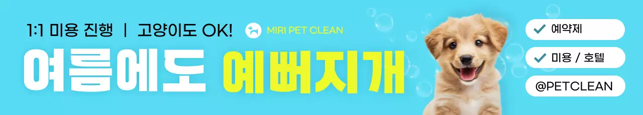 하늘색 모던 애완동물 광고