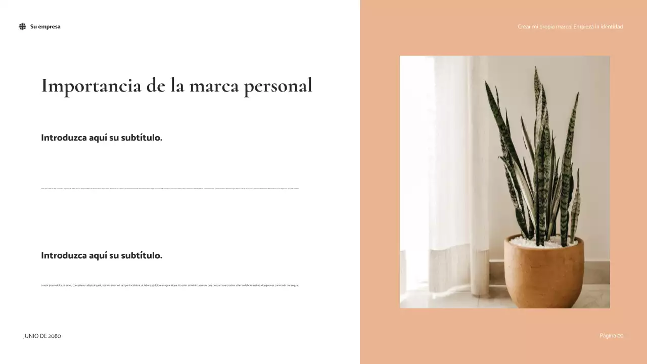 Presentación de la guía de marca Coral Modern