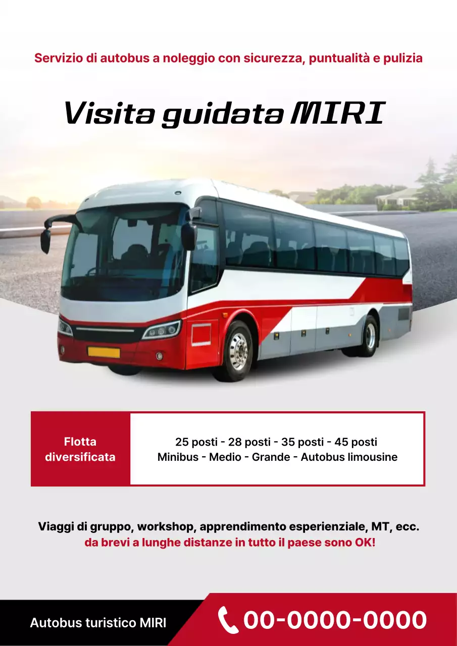 Semplice promozione di una compagnia di autobus charter rossi e grigi
