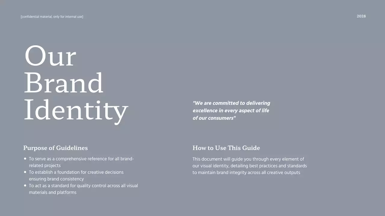 Navy Professional Brand Guideline Presentation