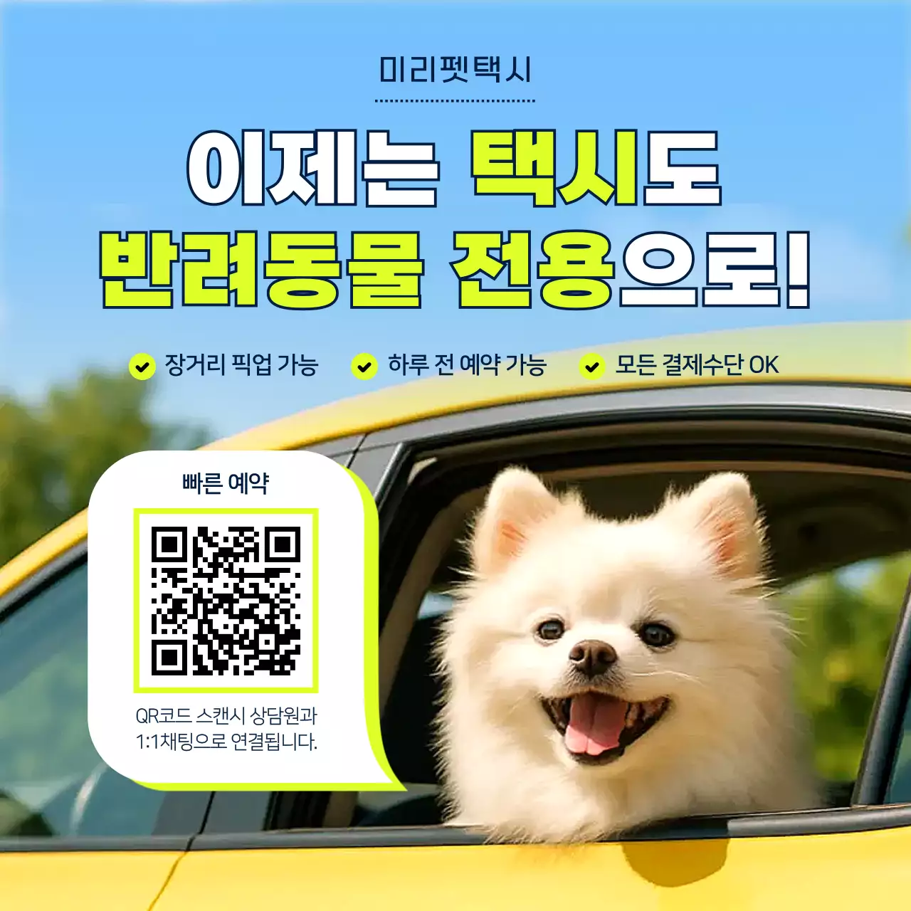 하늘색 깔끔 반려동물 광고